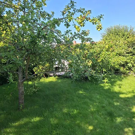 P7 Gardens - Close To Station And Nature דירה Kokkedal