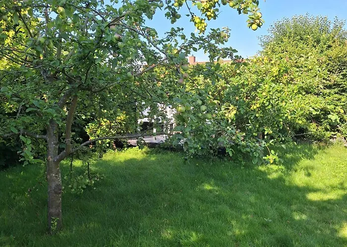 P7 Gardens - Close To Station And Nature Apartment Kokkedal